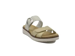 REMONTE D204860