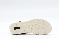 REMONTE D2051