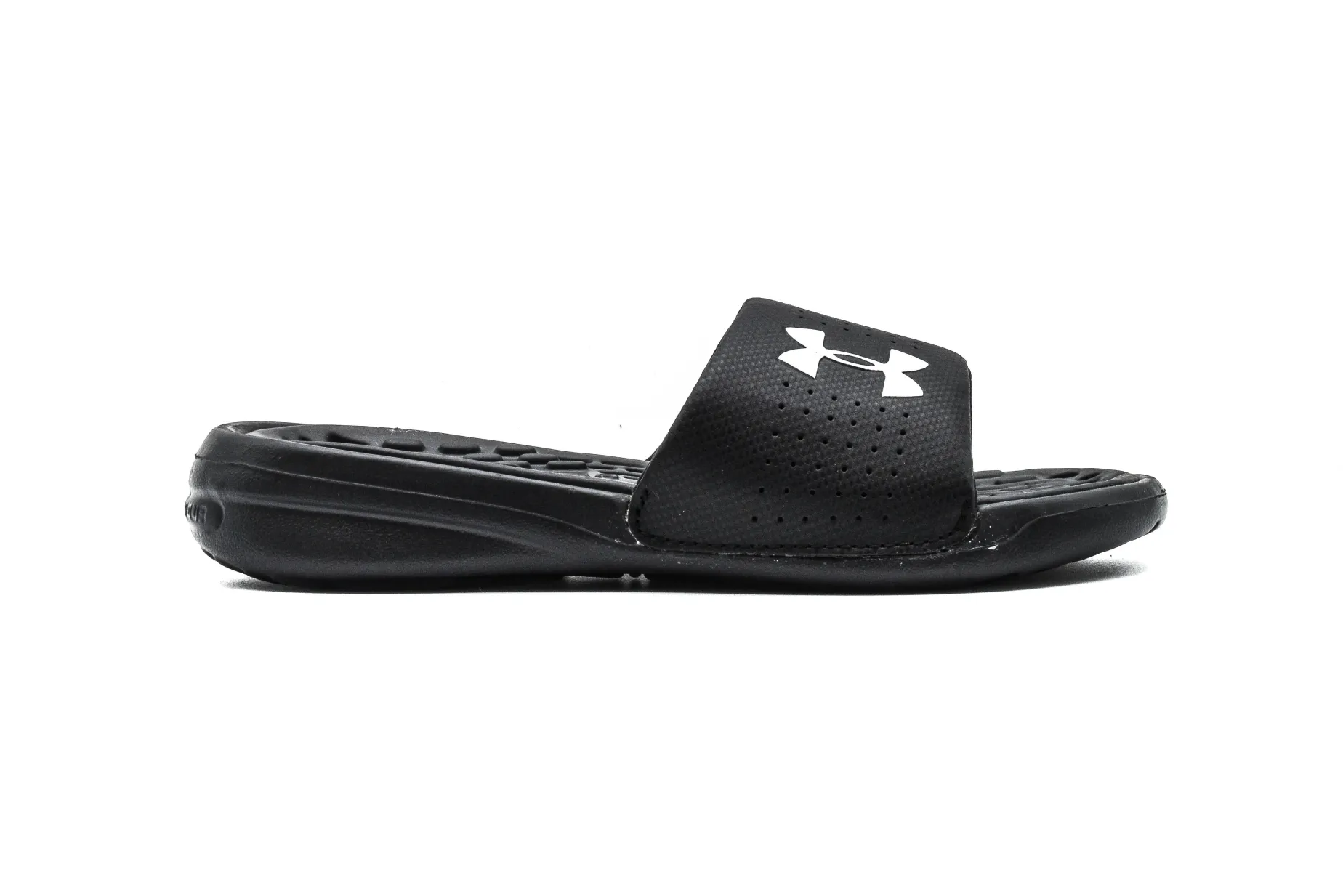 SKECHERS BOBS Too Cozy - Snuggle Rovers